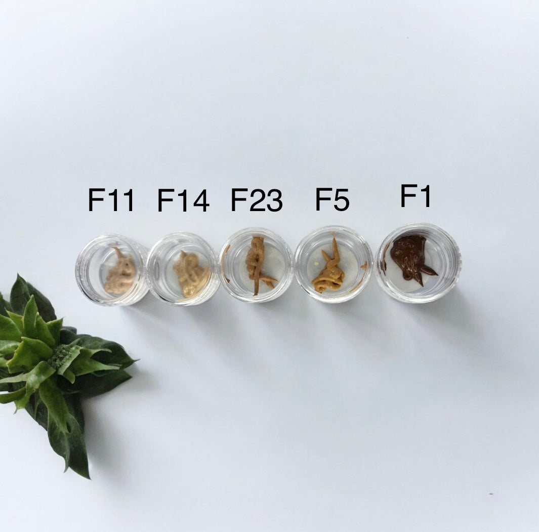 GlowShield MychaLimited