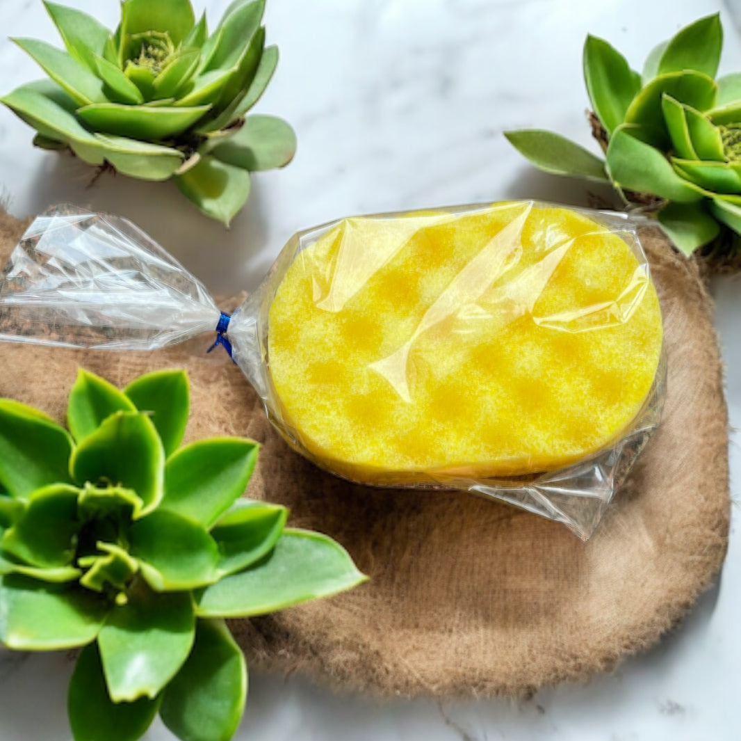 Morning Boost Soap Sponge